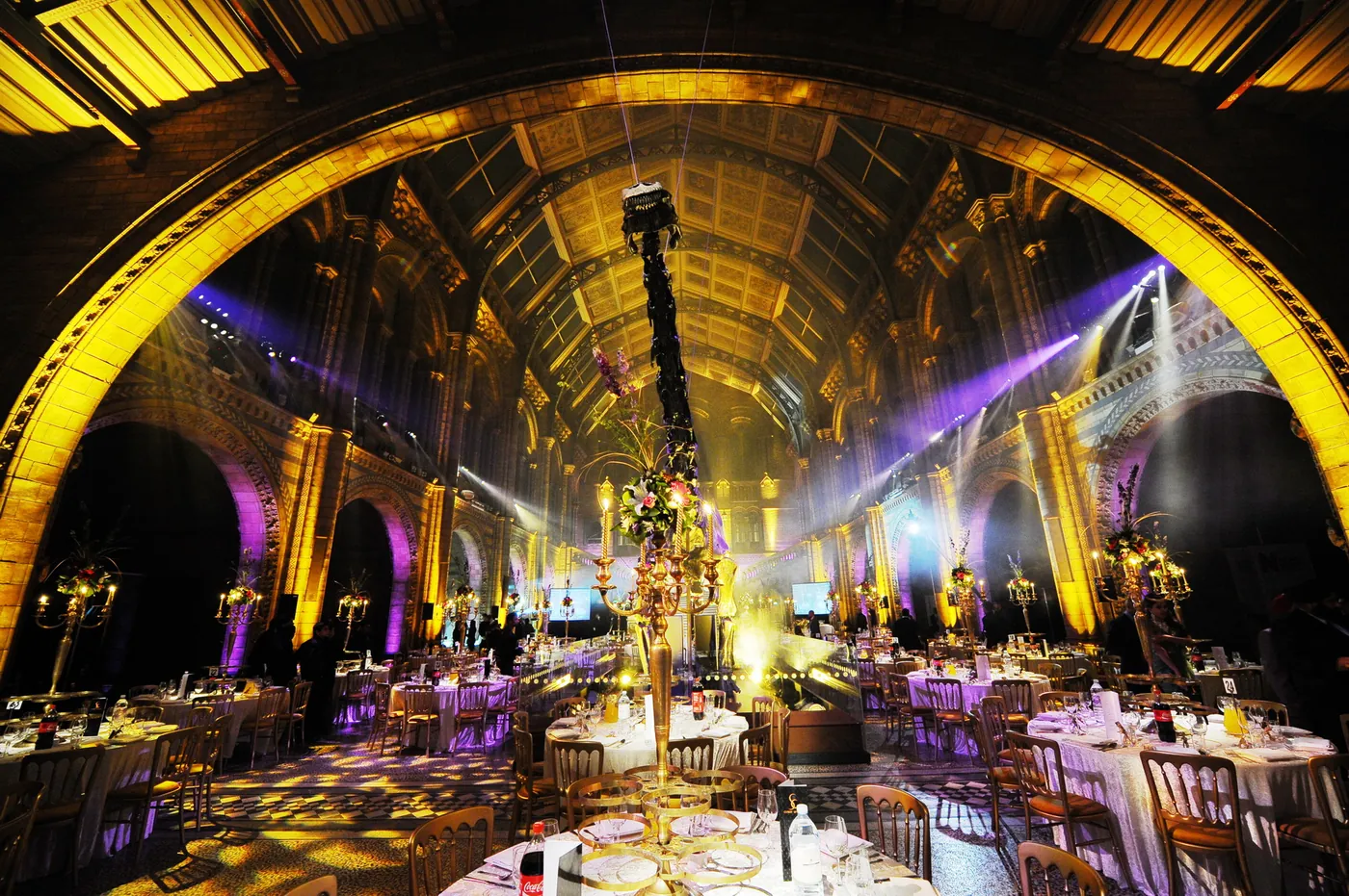 Gala dinner in the Natural History Museum hall, the arches uplit in gold and purple with beam lighting